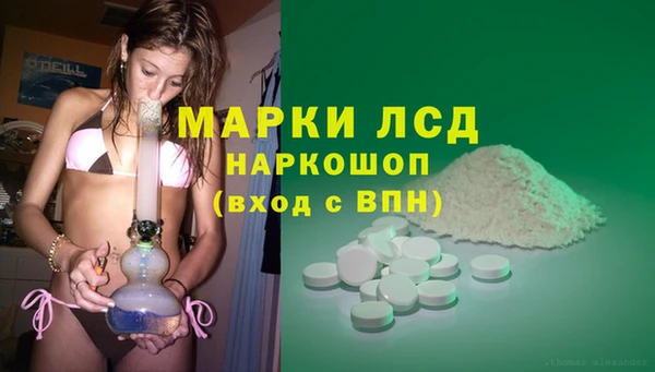 гашик Алексин