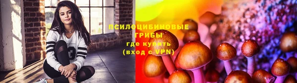 бошки Алзамай