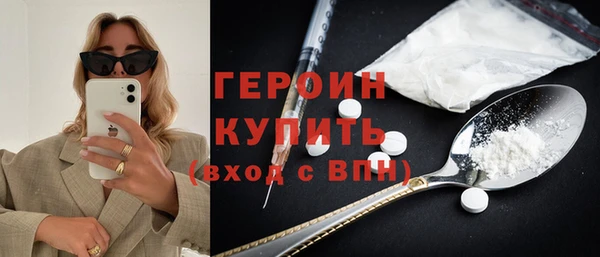 гашик Алексин