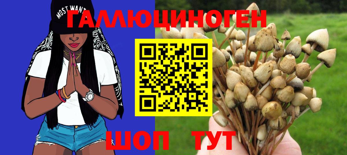 Псилоцибиновые грибы Cubensis  Вход с VPN  Сухой Лог 